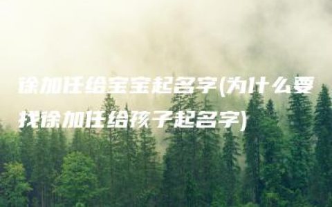 徐加任给宝宝起名字(为什么要找徐加任给孩子起名字)