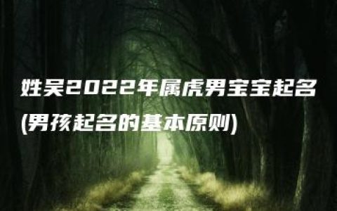 姓吴2022年属虎男宝宝起名(男孩起名的基本原则)