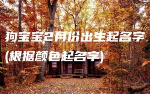 狗宝宝2月份出生起名字(根据颜色起名字)