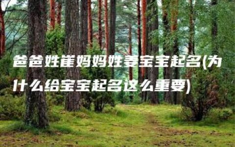 爸爸姓崔妈妈姓姜宝宝起名(为什么给宝宝起名这么重要)