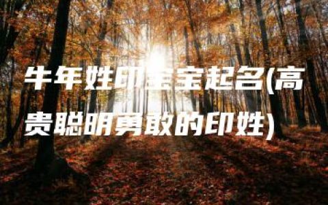 牛年姓印宝宝起名(高贵聪明勇敢的印姓)