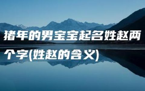 猪年的男宝宝起名姓赵两个字(姓赵的含义)