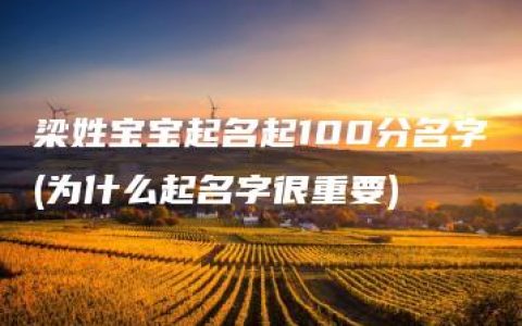 梁姓宝宝起名起100分名字(为什么起名字很重要)