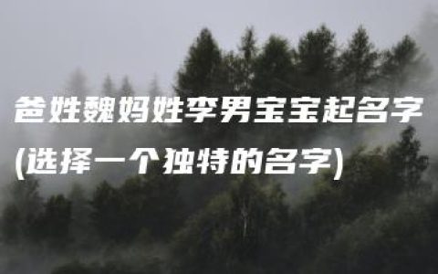 爸姓魏妈姓李男宝宝起名字(选择一个独特的名字)