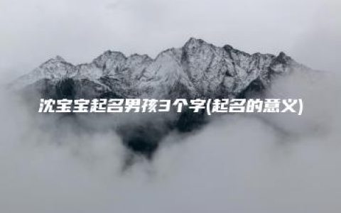 沈宝宝起名男孩3个字(起名的意义)