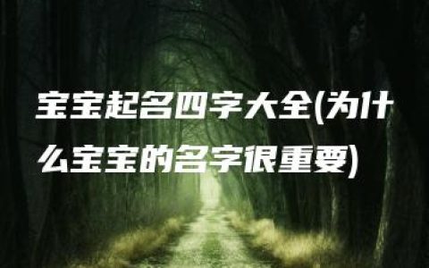 宝宝起名四字大全(为什么宝宝的名字很重要)