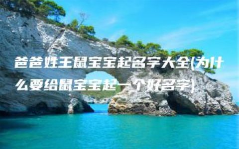 爸爸姓王鼠宝宝起名字大全(为什么要给鼠宝宝起一个好名字)