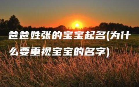 爸爸姓张的宝宝起名(为什么要重视宝宝的名字)