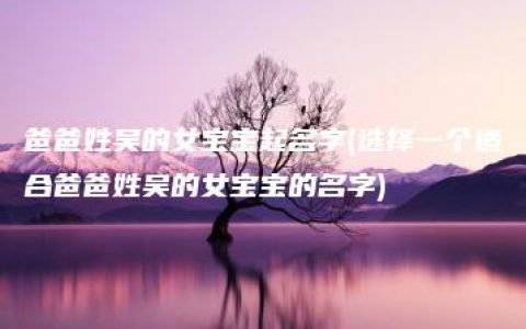 爸爸姓吴的女宝宝起名字(选择一个适合爸爸姓吴的女宝宝的名字)