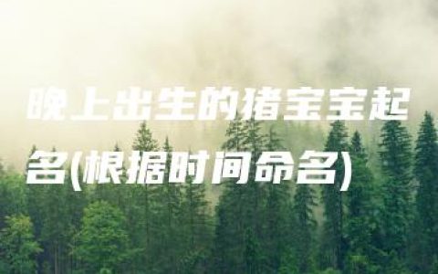 晚上出生的猪宝宝起名(根据时间命名)