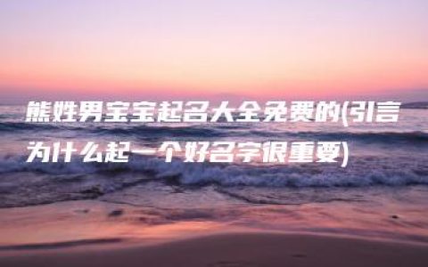 熊姓男宝宝起名大全免费的(引言为什么起一个好名字很重要)