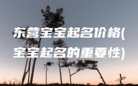 东营宝宝起名价格(宝宝起名的重要性)