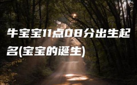 牛宝宝11点08分出生起名(宝宝的诞生)