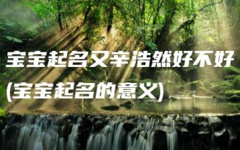 宝宝起名又辛浩然好不好(宝宝起名的意义)