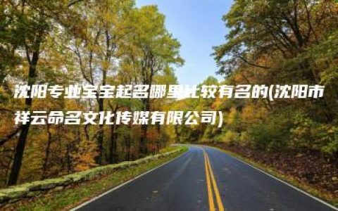 沈阳专业宝宝起名哪里比较有名的(沈阳市祥云命名文化传媒有限公司)