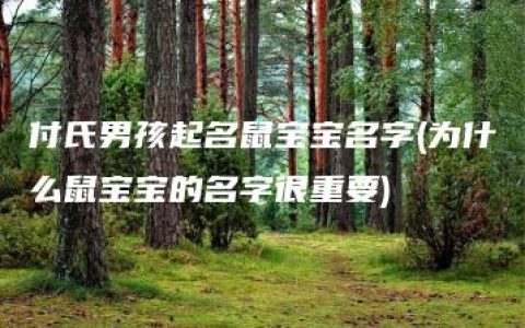 付氏男孩起名鼠宝宝名字(为什么鼠宝宝的名字很重要)