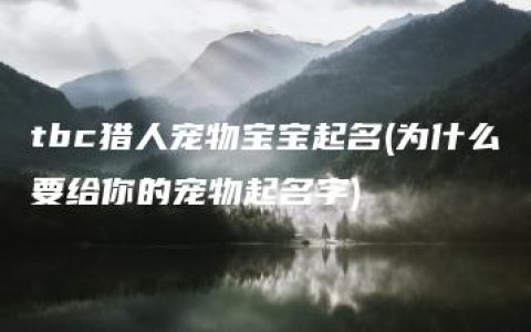 tbc猎人宠物宝宝起名(为什么要给你的宠物起名字)