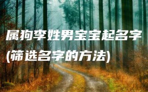 属狗李姓男宝宝起名字(筛选名字的方法)