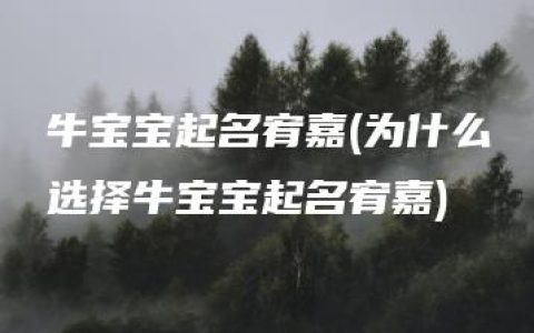 牛宝宝起名宥嘉(为什么选择牛宝宝起名宥嘉)