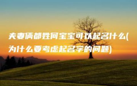 夫妻俩都姓何宝宝可以起名什么(为什么要考虑起名字的问题)