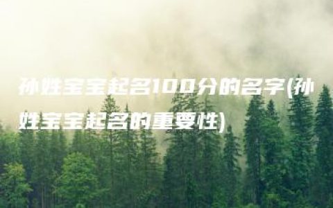 孙姓宝宝起名100分的名字(孙姓宝宝起名的重要性)