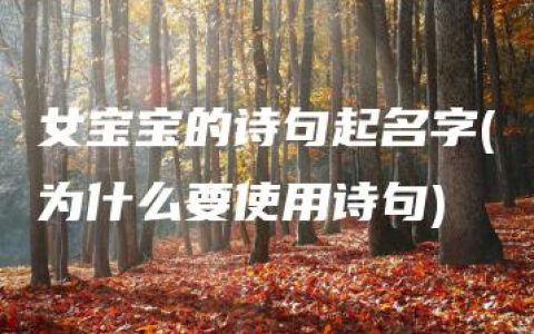 女宝宝的诗句起名字(为什么要使用诗句)