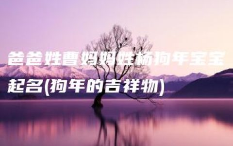 爸爸姓曹妈妈姓杨狗年宝宝起名(狗年的吉祥物)