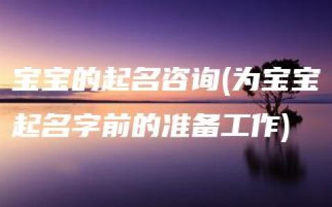 宝宝的起名咨询(为宝宝起名字前的准备工作)