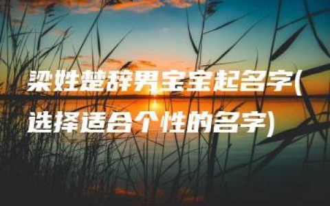 梁姓楚辞男宝宝起名字(选择适合个性的名字)