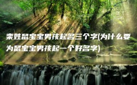 栾姓鼠宝宝男孩起名三个字(为什么要为鼠宝宝男孩起一个好名字)