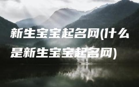 新生宝宝起名网(什么是新生宝宝起名网)