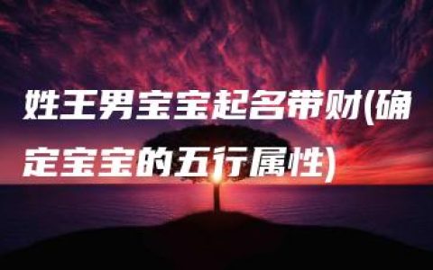 姓王男宝宝起名带财(确定宝宝的五行属性)