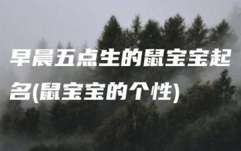 早晨五点生的鼠宝宝起名(鼠宝宝的个性)