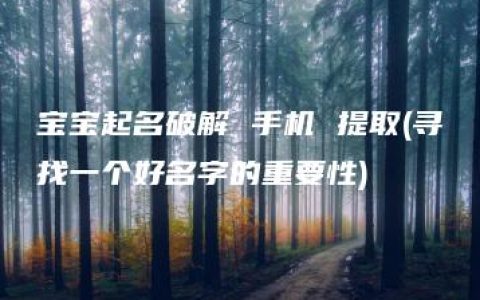 宝宝起名破解 手机 提取(寻找一个好名字的重要性)