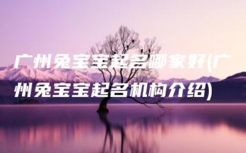 广州兔宝宝起名哪家好(广州兔宝宝起名机构介绍)