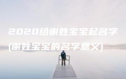 2020给谢姓宝宝起名字(谢姓宝宝的名字意义)