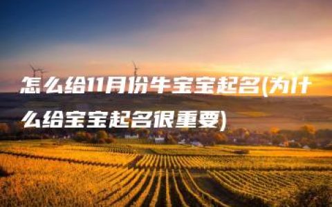 怎么给11月份牛宝宝起名(为什么给宝宝起名很重要)