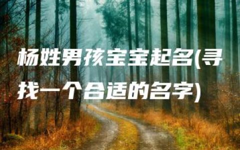 杨姓男孩宝宝起名(寻找一个合适的名字)