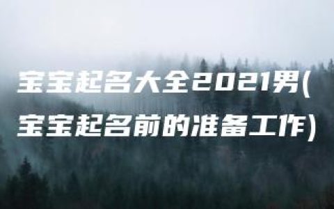 宝宝起名大全2021男(宝宝起名前的准备工作)