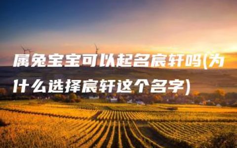 属兔宝宝可以起名宸轩吗(为什么选择宸轩这个名字)