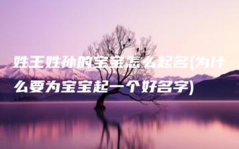 姓王姓孙的宝宝怎么起名(为什么要为宝宝起一个好名字)