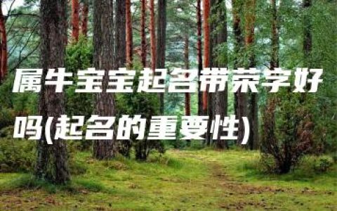 属牛宝宝起名带荣字好吗(起名的重要性)