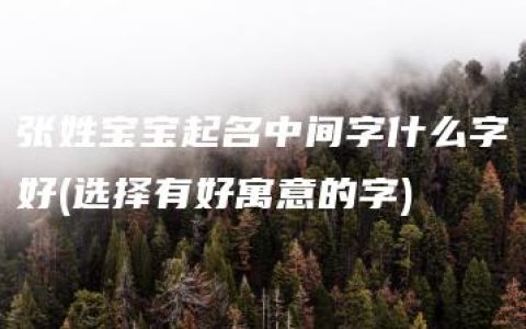 张姓宝宝起名中间字什么字好(选择有好寓意的字)