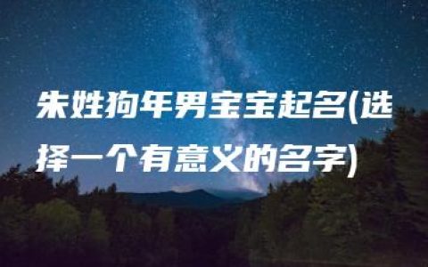 朱姓狗年男宝宝起名(选择一个有意义的名字)