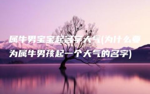 属牛男宝宝起名字大气(为什么要为属牛男孩起一个大气的名字)