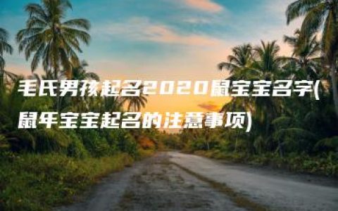 毛氏男孩起名2020鼠宝宝名字(鼠年宝宝起名的注意事项)