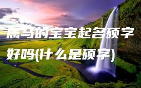 属马的宝宝起名硕字好吗(什么是硕字)