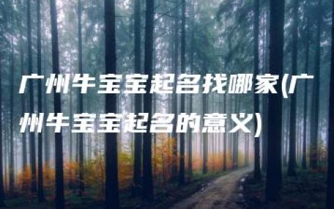 广州牛宝宝起名找哪家(广州牛宝宝起名的意义)