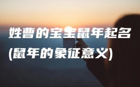 姓曹的宝宝鼠年起名(鼠年的象征意义)