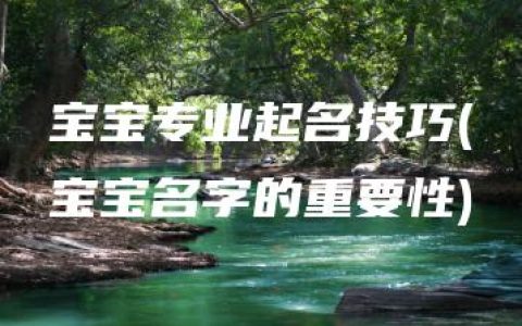 宝宝专业起名技巧(宝宝名字的重要性)